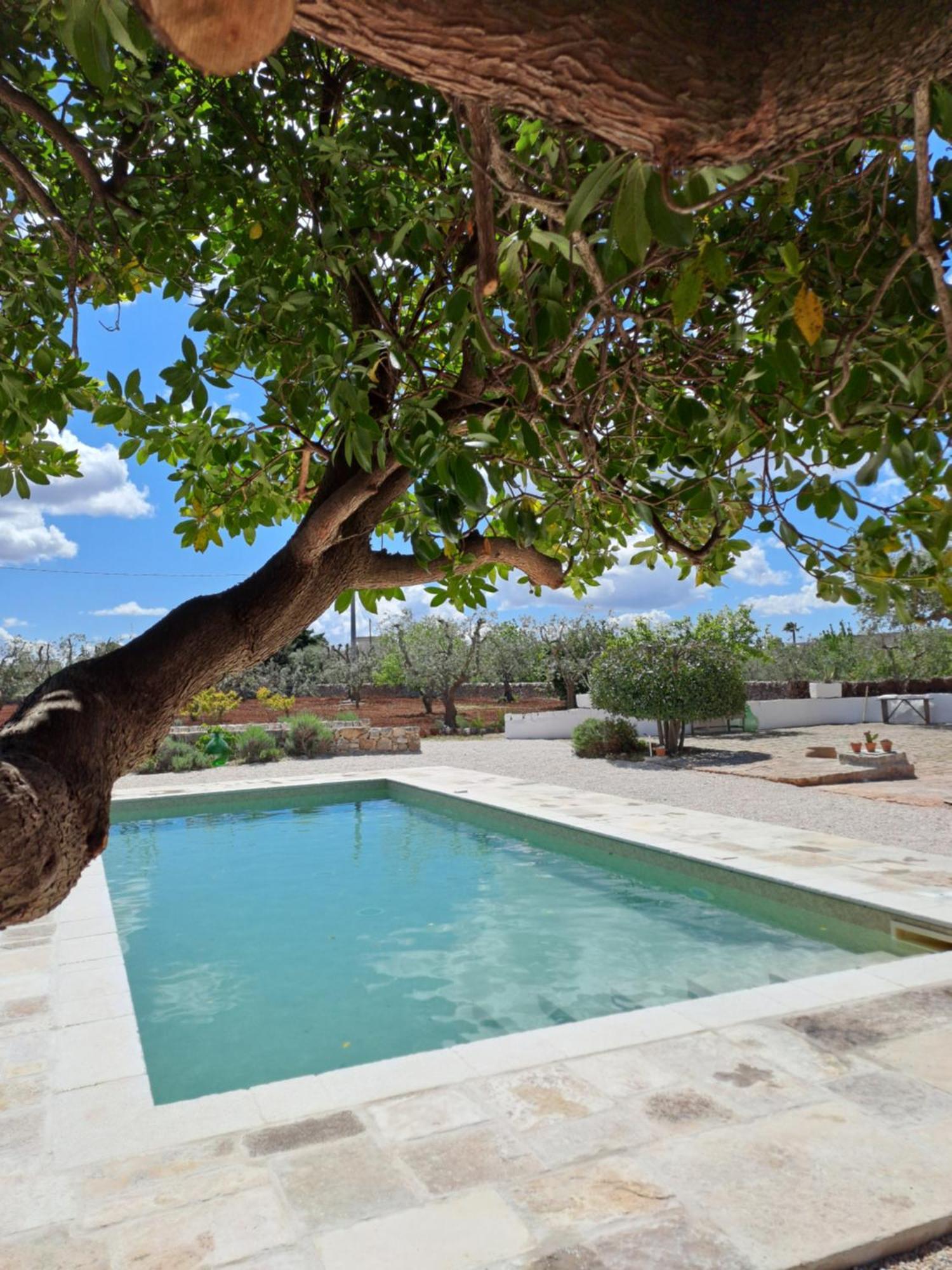 Pietra Pesara Bed & Breakfast Locorotondo Bagian luar foto