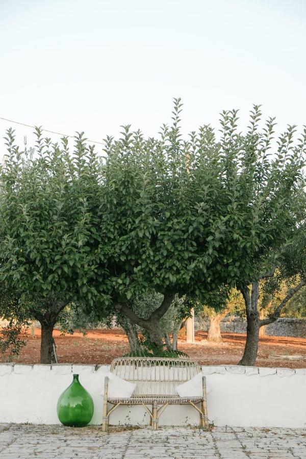 Pietra Pesara Bed & Breakfast Locorotondo Bagian luar foto